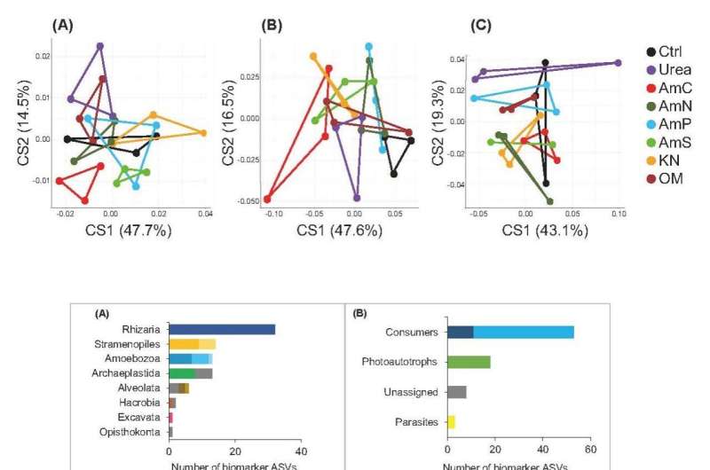 Nitrogen-based fertilizers differentially affect protist community composition in paddy field soils