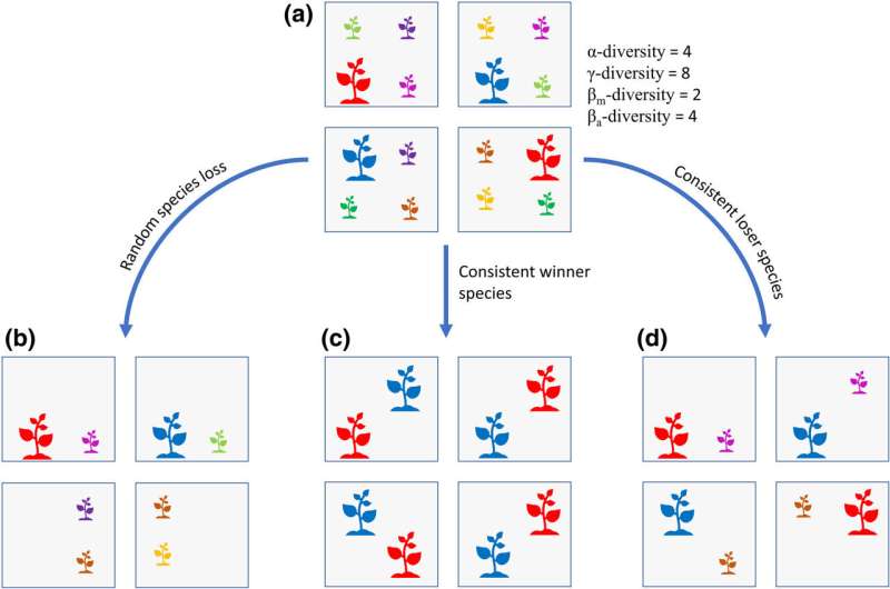 Nitrogen deposition also reduces biodiversity on a larger scale