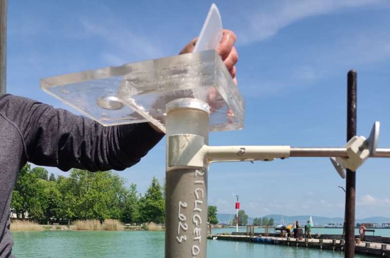 Non-biting midges help us understand how to protect Lake Balaton