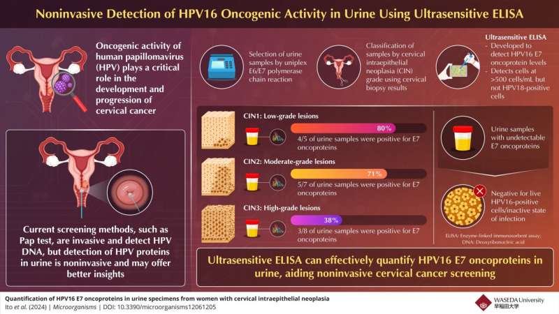 Noninvasive urine test for early detection of cervical cancer virus proteins