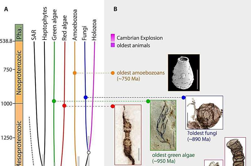 North China fossils show eukaryotes first acquired multicellularity 1.63 billion years ago