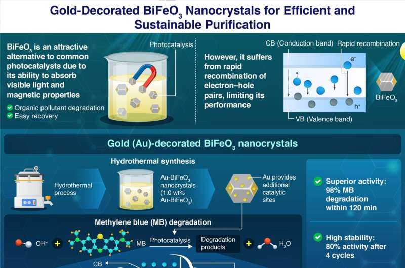 Novel Au-BiFeO3 nanostructures for efficient and sustainable degradation of pollutants