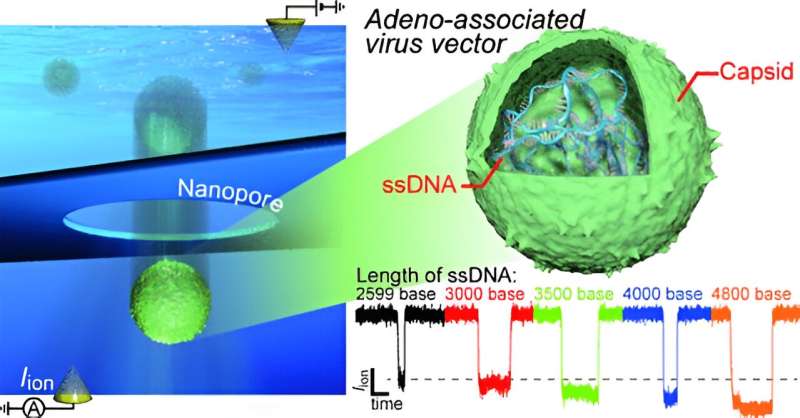 Novel nanosensing technique for quality control of viral vectors in gene therapy