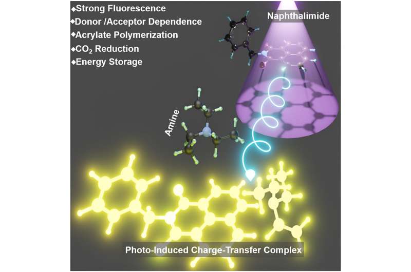 Novel photo-induced charge-transfer complex between amine and imide