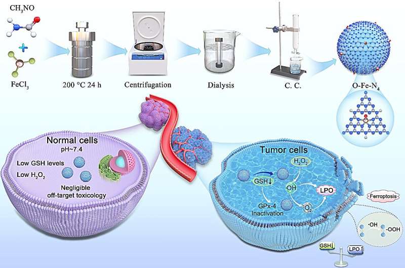 Novel single-atom nanozymes show promise for hypoxia-tolerant singlet oxygen-battery