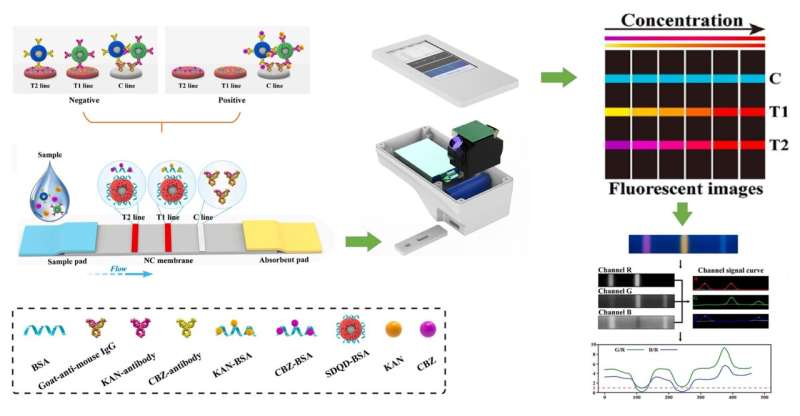 Novel system developed for highly sensitive combined detection of small molecule pollutants in food and environment