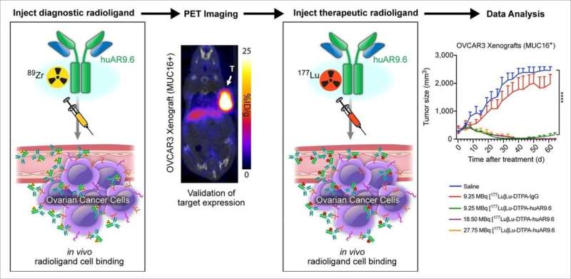Novel theranostic tool allows for noninvasive identification and treatment of ovarian cancer