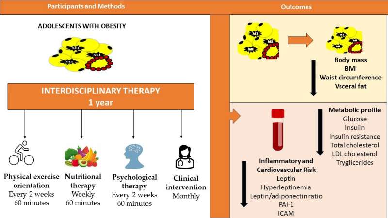 Novel treatment strategy reduces inflammation and cardiometabolic risk in adolescents with obesity