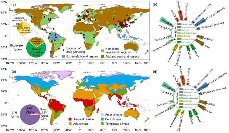 Nutrient enrichment driven by canopy rainfall redistribution: Mechanism, quantification, and pattern