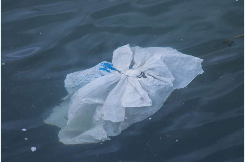 Ocean floor a 'reservoir' of plastic pollution, world-first study finds