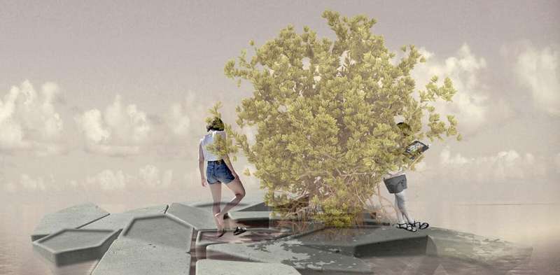 Ocean forests: how 'floating' mangroves could provide a broad range of ecological and social benefits