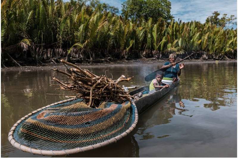 Oil palm plantations are driving massive downstream impact to watershed