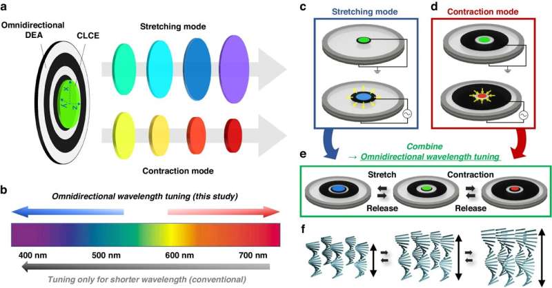 Omnidirectional color wavelength tuning of stretchable chiral liquid crystal elastomers