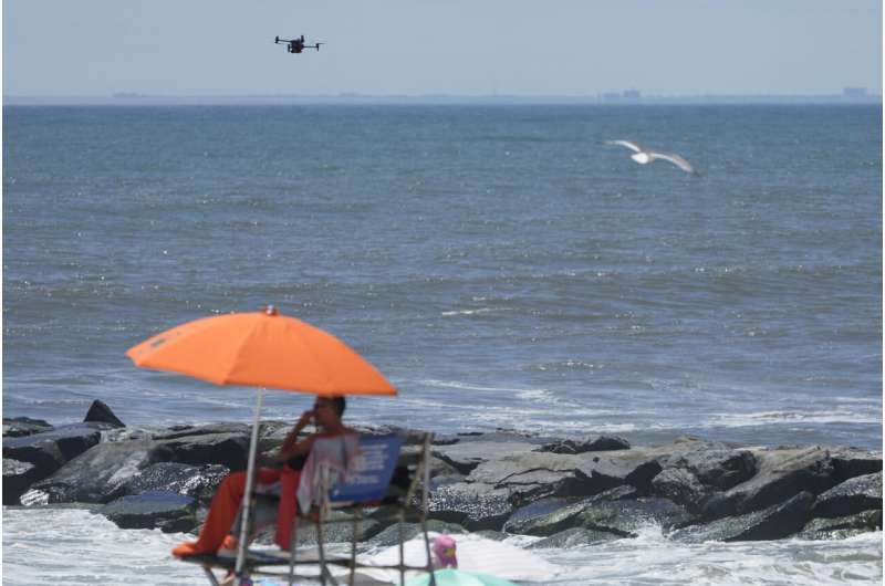 On NYC beaches, angry birds are fighting drones on patrol for sharks and swimmers