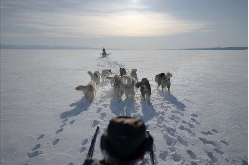 On thin ice: Greenland's last Inuit polar bear hunters