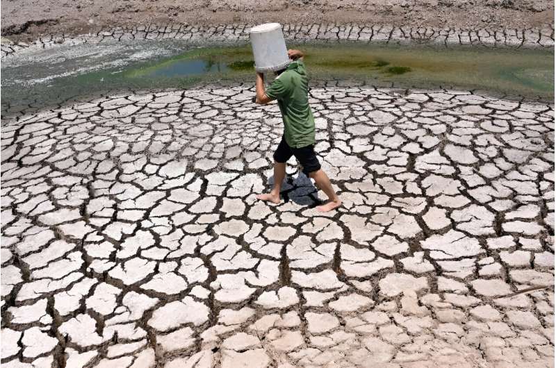 Once lush rice paddies in southern Vietnam now stand cracked and dry amid a blazing heatwave