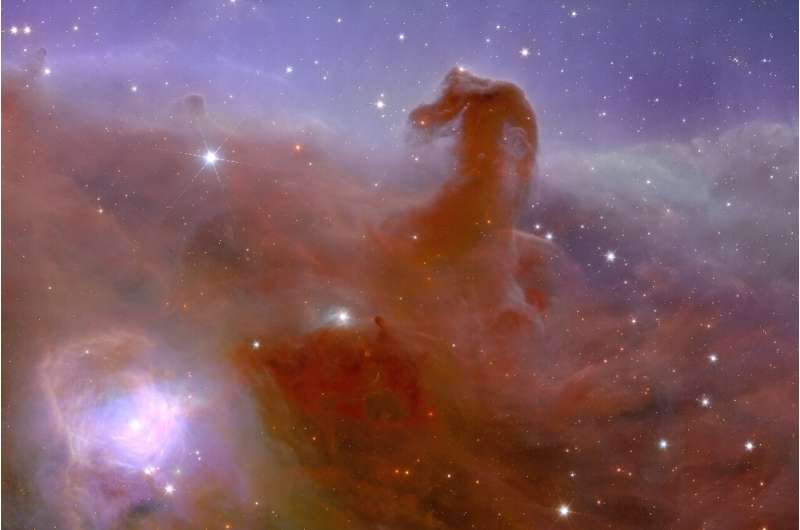 One of the first images released from Euclid, which depicts the Horsehead Nebula