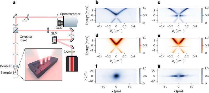 Optically trapped quantum droplets of light can bind together to form macroscopic complexes