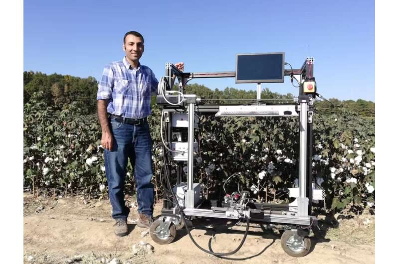 Our robot harvests cotton by reaching out and plucking it, like a lizard's tongue snatching flies