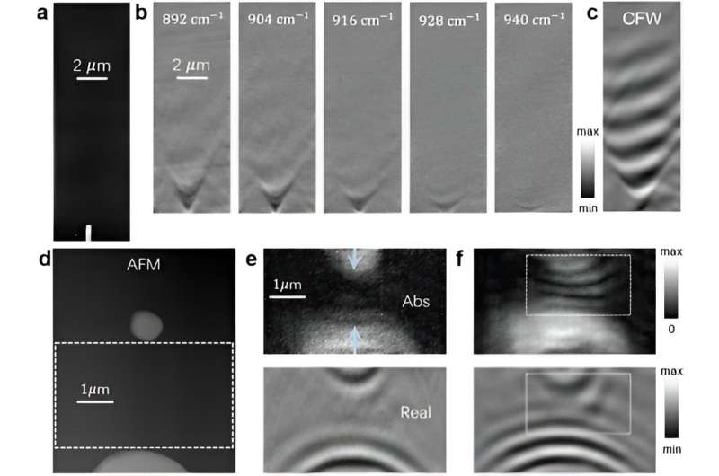 Overcoming optical loss in a polariton system with synthetic complex frequency waves