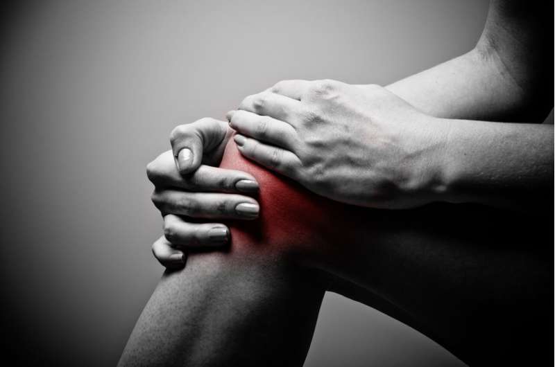 Painful truth about knee osteoarthritis: Why inactivity may be more complex than we think