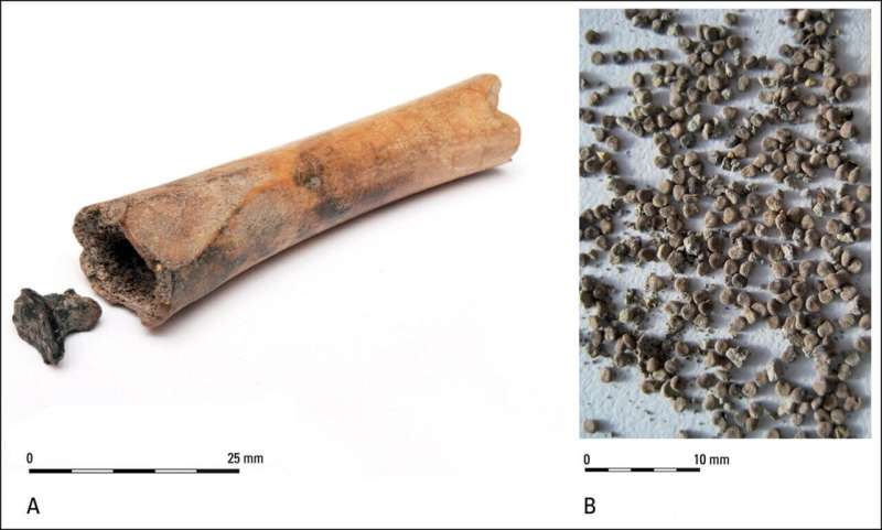 Painkiller or pleasure? First conclusive evidence found for intentional use of black henbane in the Roman world