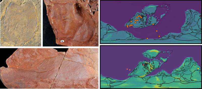 Paleontologists describe new examples of big sea scorpions from the Silurian and Devonian in New South Wales