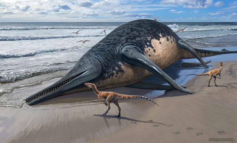 Paleontologists unearth what may be the largest known marine reptile