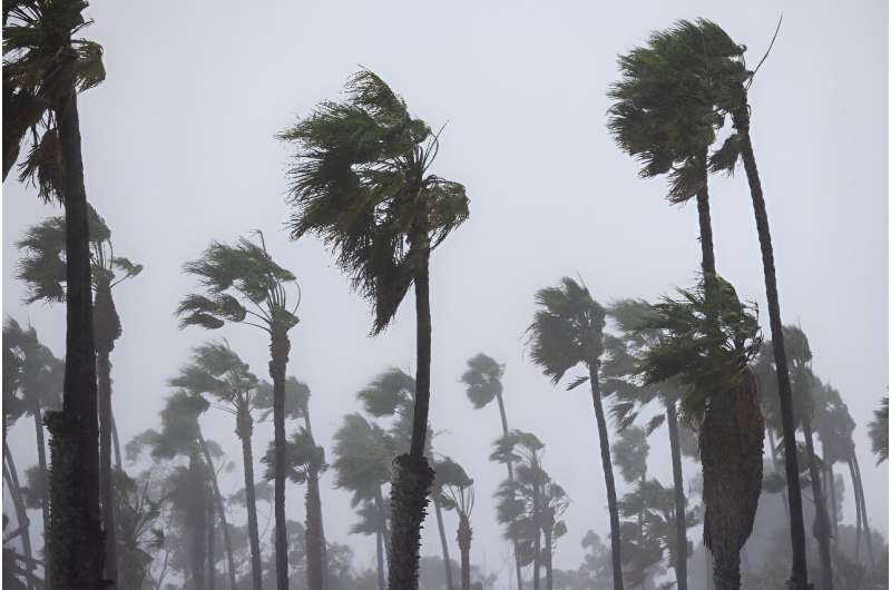 Palm trees are blown by strong wind as the second and more powerful of two atmospheric river storms arrives to Santa Barbara, California, on February 4, 2024