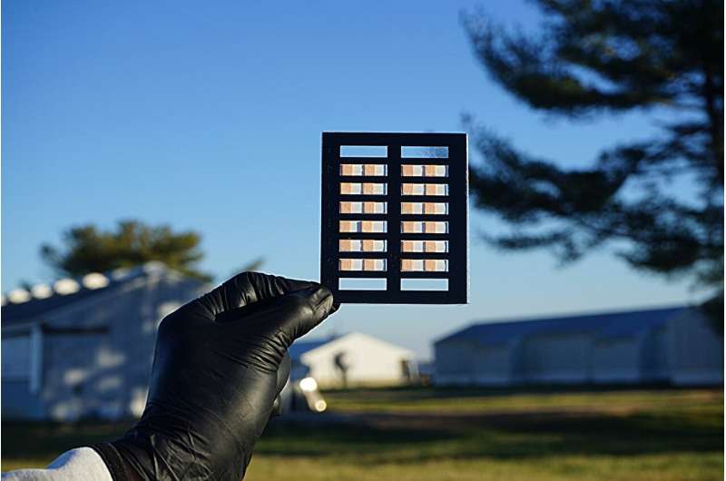 Paper-based biosensor offers fast, easy detection of fecal contamination on produce farms