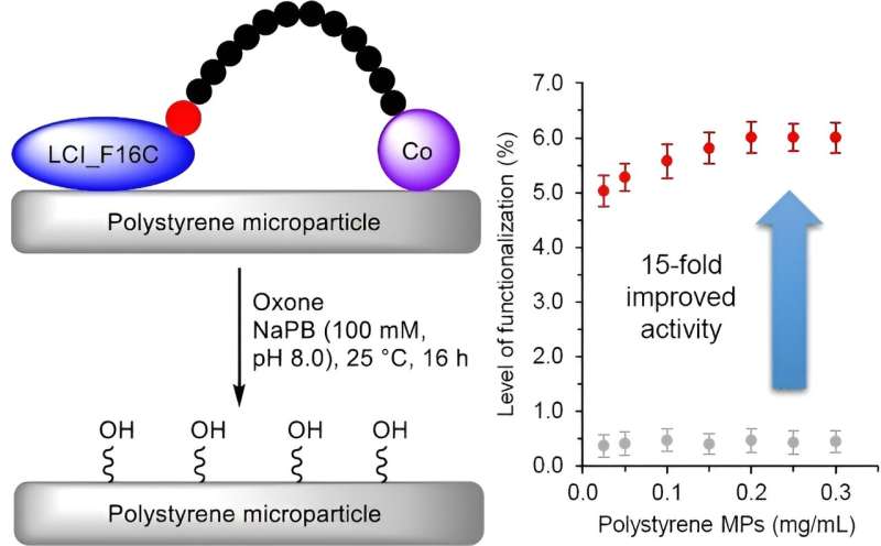 Peptide with a cobalt complex oxidizes polystyrene microparticles