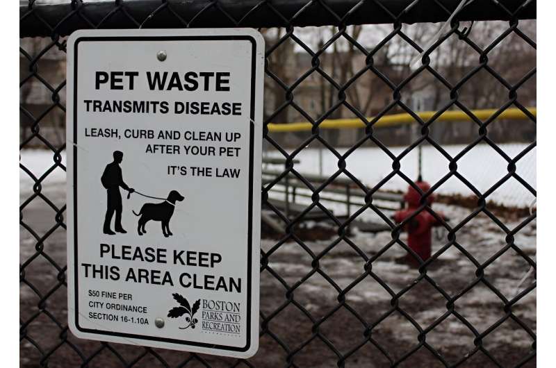 Perils of pet poop—so much more than just unsightly and smelly, it can spread disease