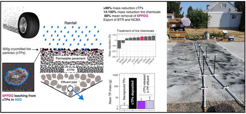 Permeable pavements could reduce salmon-killing tire pollutants