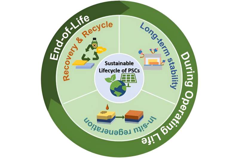 Perovskite solar cells: tackling stability and environmental impacts for a greener future