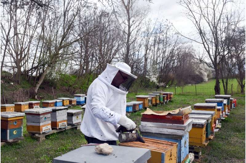 Petroski has for 13 years spent his free time caring for 120 beehives