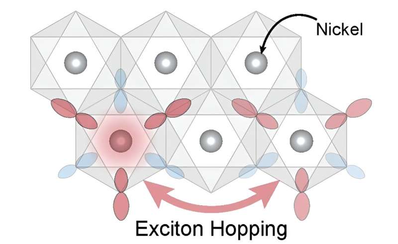 Physicists report new insights into exotic particles key to magnetism