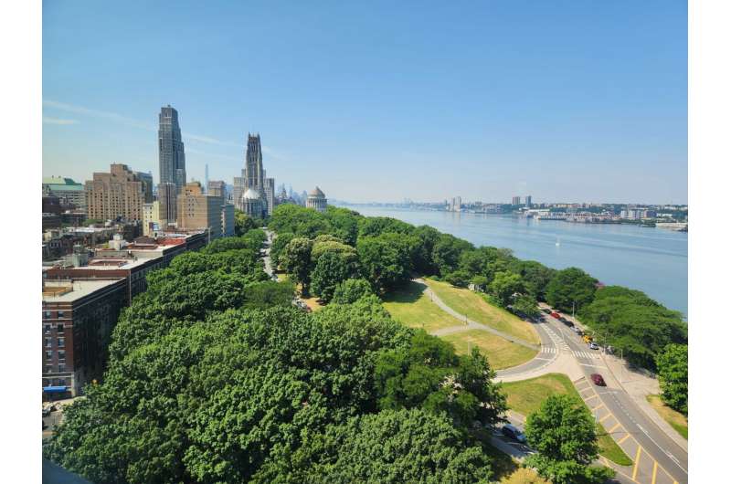 Planting some tree species may worsen, not improve, NYC air, says new study