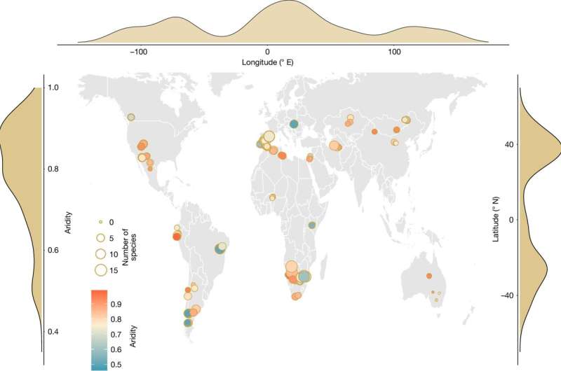 Plants show surprising diversity in arid landscape: How livestock grazing impacts drylands