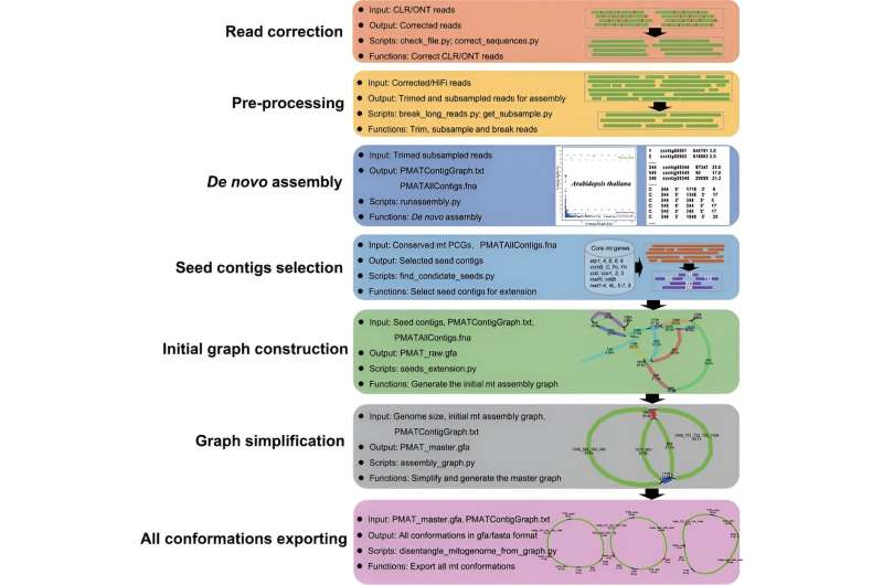 PMAT: a new tool for efficient assembly of plant mitochondrial genomes