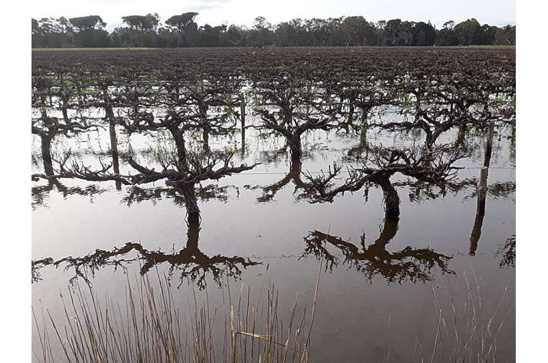 Politicization of water use increases farmers’ mistrust