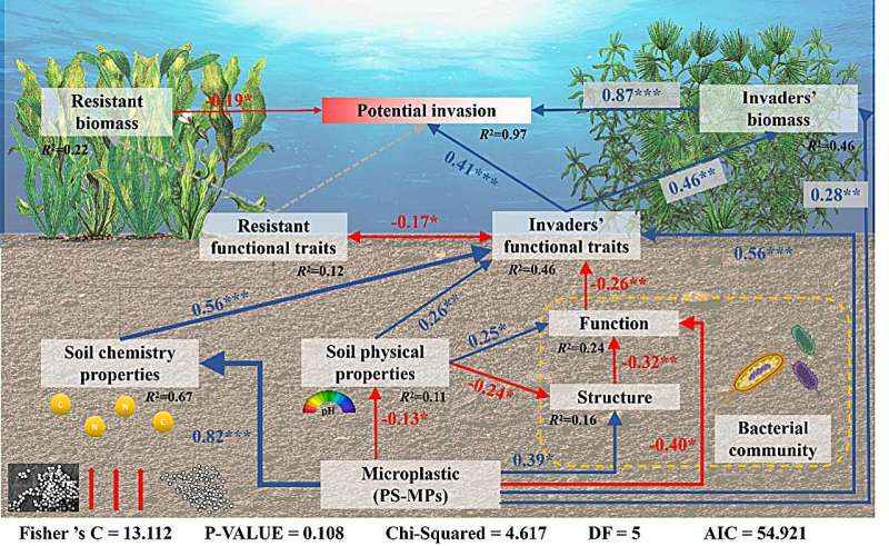 Polystyrene microplastics enhance invasion of exotic submerged macrophytes