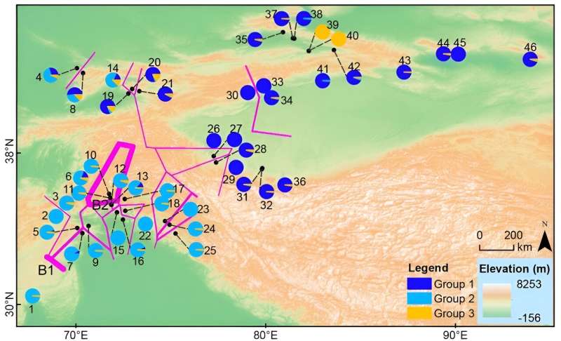 Population genetic insights into the conservation of common walnut (Juglans regia) in Central Asia