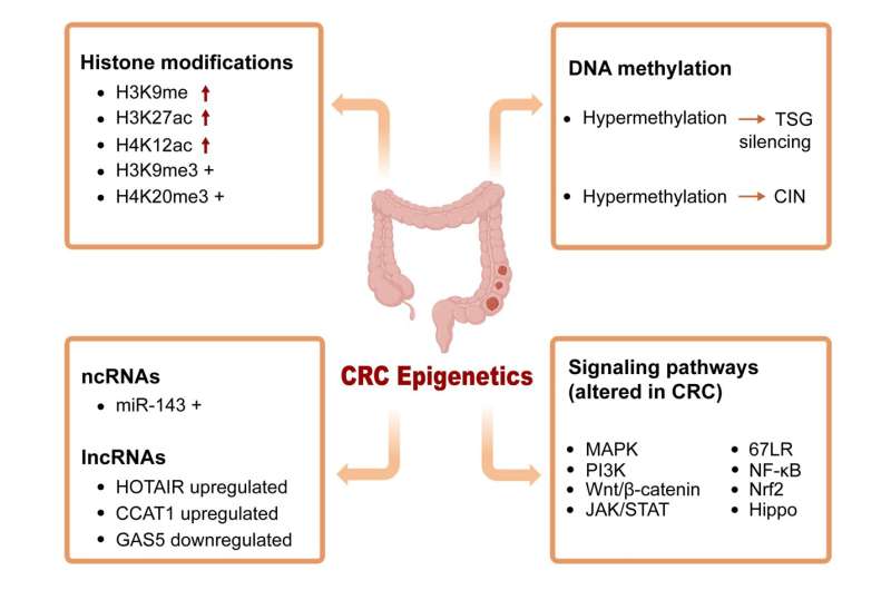 Potential epigenetic modifiers targeting the alteration of methylation in colorectal cancer