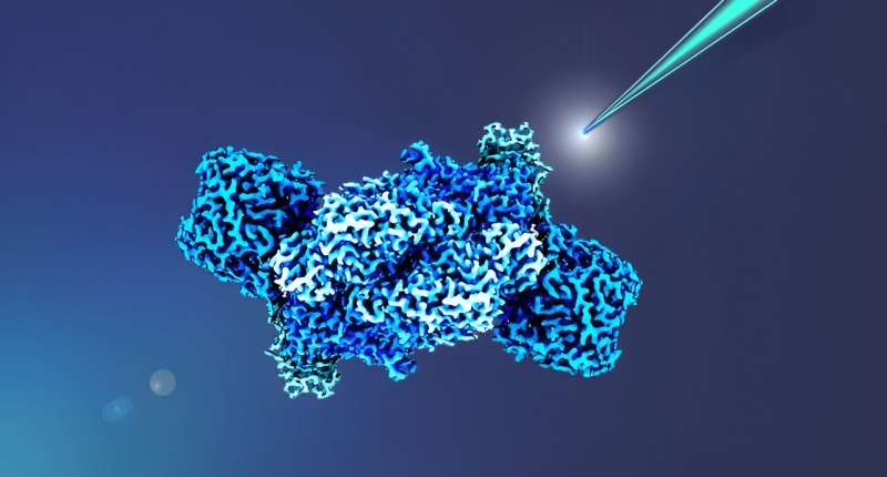 Powering nitrogenases: Researchers find new targets for improving biocatalysts