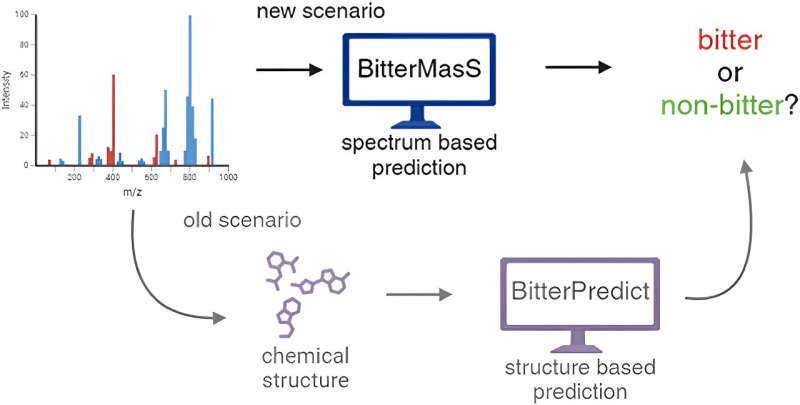 Predicting bitterness in foods using mass spectrometry