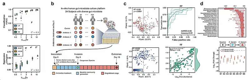 Predicting colonization outcomes of complex microbial communities with machine learning models