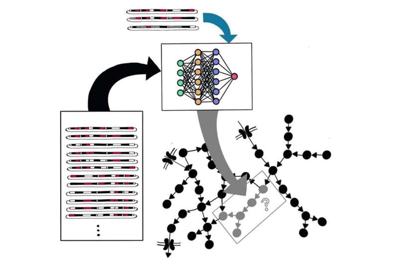 Predicting metabolic potential in bacteria from limited genome data