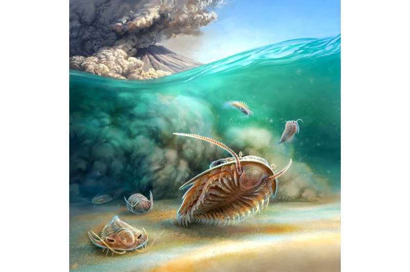 Découverte de Pompéi préhistorique : la plupart des fossiles de trilobites intacts jamais découverts bouleversent la compréhension scientifique de ce groupe disparu depuis longtemps