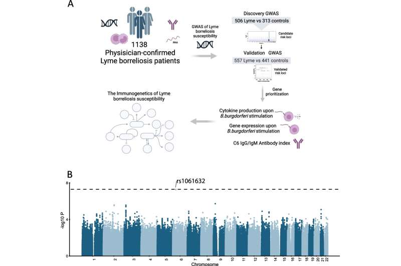 Probability of developing Lyme disease is genetically influenced