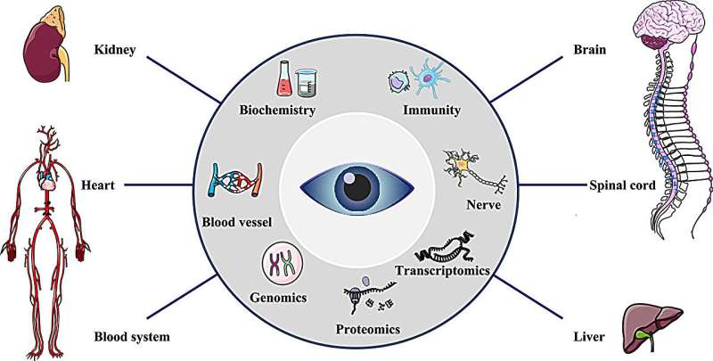 Progress in the diagnosis of systemic diseases based on ophthalmic imaging artificial intelligence technology